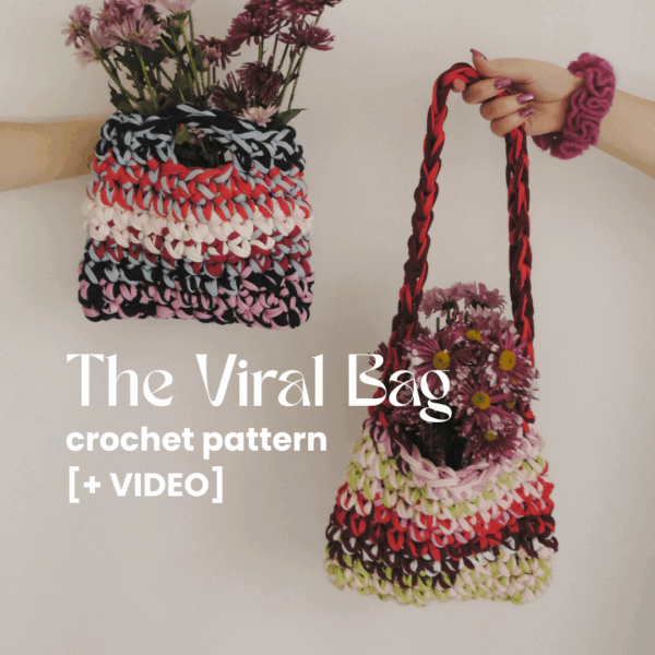 VIDEO Pattern - The Viral Crochet Bag